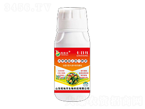 ��������ɫһ���`-���ռt-�����S