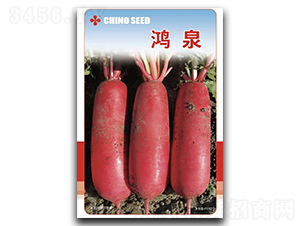 ��Ȫ�}���N��-���W�N��