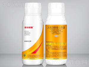 24-���|̦�؃�����S-�T����-ϲ�s��ϲ-��ϲ