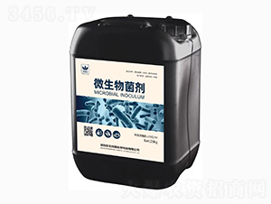 ΢�������-���m����