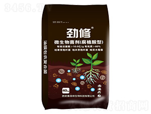 ��ֲ����΢�������-����-���ۃz����