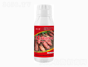 �t�����߮a��-������-��������