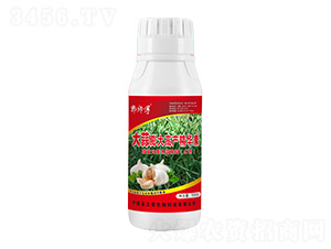 �������߮a���A��-������-��������