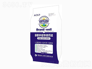 �M�����\�i�F�V�}��-�����r��