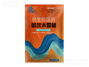 ����ľù��΢�������-�t�f��-�l�弾�L