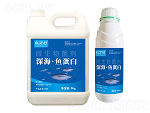 ����~����΢�������-�t�f��-�l�弾�L