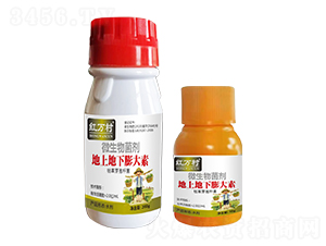 ΢�������-���µ��������-�t�f��-�l�弾�L-���˹����r��