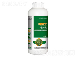 С�~�`-����ʿ-���R��-�а����r