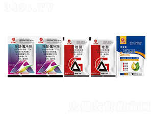 ����+���ѡ����h��+�ЙC������-�t�f��-�l�弾�L-���˹����r��