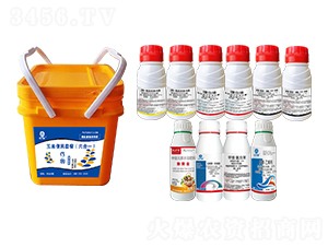 ���ױ����ײͣ�����һ��-�l�弾�L