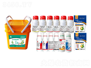 ���ױ���M�����b��ʮ��һ��-�l�弾�L