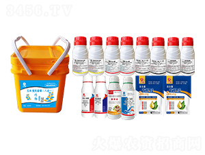 ���ױ���M�����b���˺�һ��-�l�弾�L