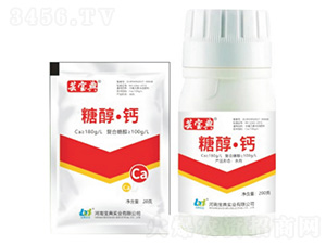 �Ǵ����}-�|����-���䌍(sh��)�I(y��)