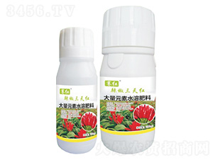 ��������t-ِ�t-���䌍�I