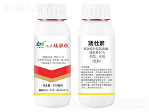 50%������-�������ֶ�-���䌍�I