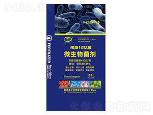 ΢�������-����10�|��-���-��֮��