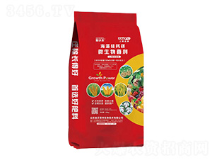 ΢�������-������}�V-�����S-�����_����