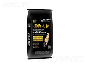 �S����΢�������-ֲ���˅�-�����S-�����_����