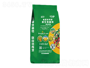 ΢���������40kg��-������}�V-�����S-�����_����