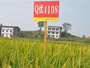 Q��4108-ˮ���N��-���r�Ƽ�