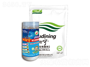 ΢������N-���،�-����r�ʘI