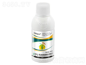 525��/�����h�����h��-�����A��-����