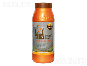 ����΢�������-��΢-ֲ����