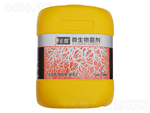 ΢�������-��΢-ֲ����