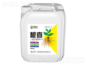 ��ϲ΢�������-ِʩ��-�sҫ�r�I