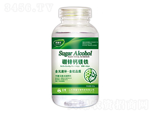 �����}�V�F-ِʩ��-�sҫ�r�I