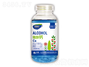 �Ǵ��}-ِʩ��-�sҫ�r�I