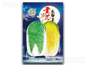 �Sо��ײ˷N��-�����r�I