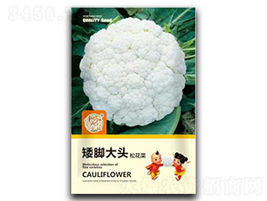 ���_���^�ɻ��˷N��-�����r�I