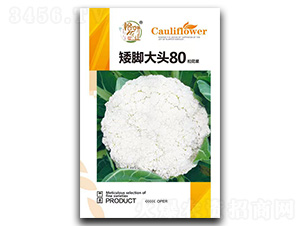 ���_���^80�ɻ��˷N��-�����r�I