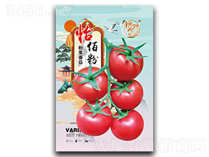 ���۷۷۹����ѷN��-�����r�I