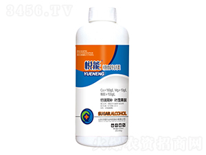 �Ǵ��}�V��ƿ��-����-�sҫ�r�I