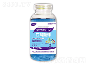 ������⛣�ƿ��-ِʩ��-�sҫ�r�I