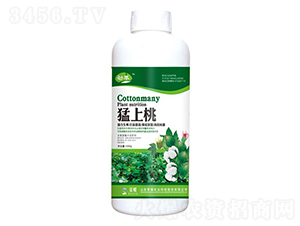 ������-����-�sҫ�r�I