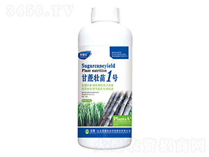 �������1̖��ƿ��-ِʩ��-�sҫ�r�I