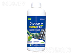 ������烞�S�أ�ƿ��-����-�sҫ�r�I