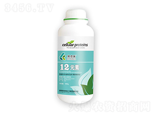 12Ԫ�أ�ƿ��-Ӣ����-�sҫ�r�I