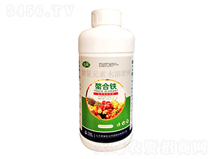 �����F��ƿ��-����-�sҫ�r�I