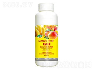 â��������L�S�M�أ�500g��-����-�sҫ�r�I