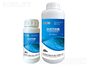 ���w��-�A��