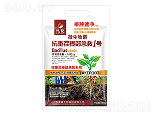 ���ز��������1̖-����-�sҫ�r�I