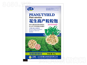 �����߮a���������-����-�sҫ�r�I