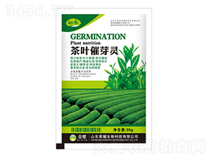 ���~��ѿ�`-����-�sҫ�r�I