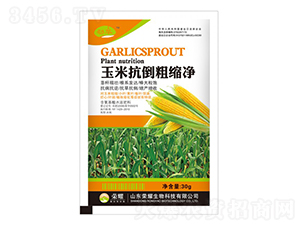 ���׿����ֿs��-����-�sҫ�r�I