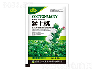 �����ң�����-����-�sҫ�r�I