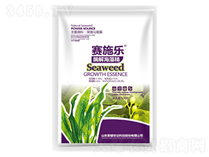 ø�⺣�徫-ِʩ��-�sҫ�r�I